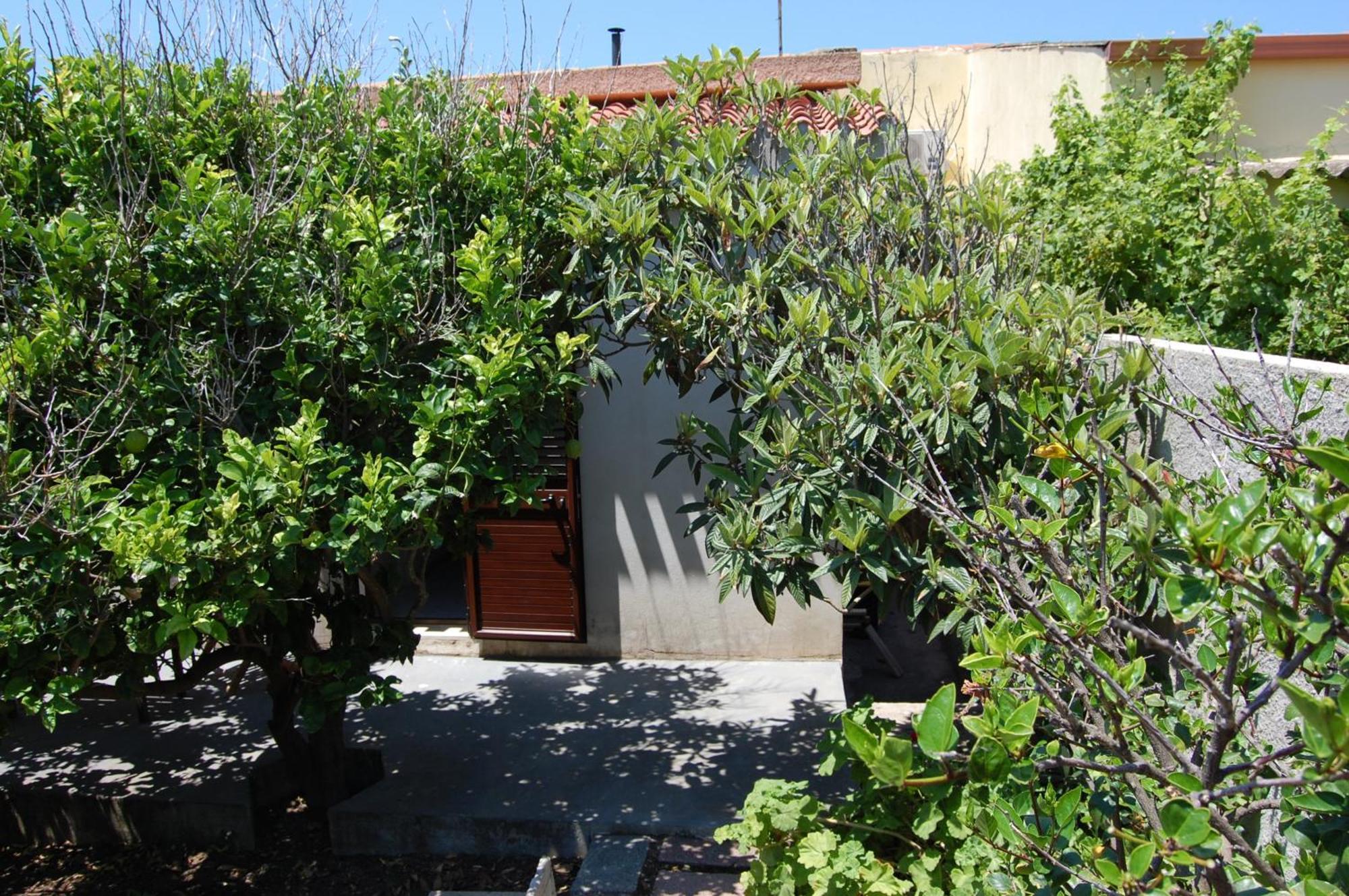 Bed and Breakfast Andrea E Valentina S'Archittu Exterior foto